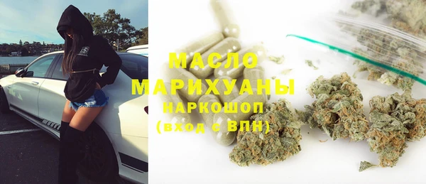 мдпв Бородино
