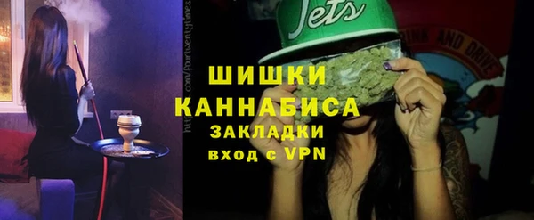 мдпв Бородино