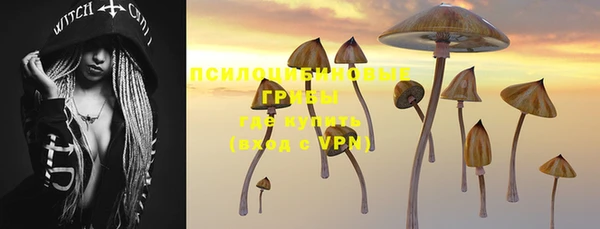 мдпв Бородино