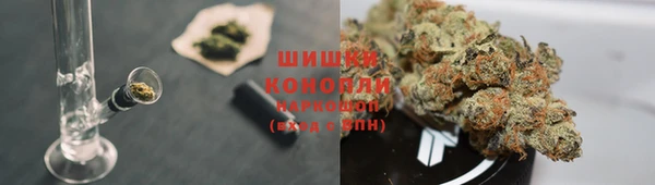 мдпв Бородино