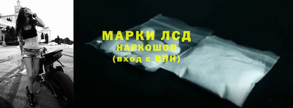 мдпв Бородино