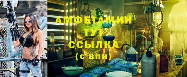 мдпв Бородино