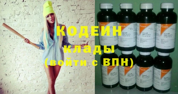 мдпв Бородино