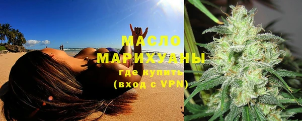 мдпв Бородино