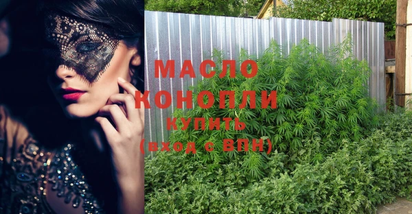 мдпв Бородино