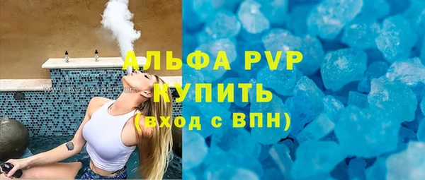 мдпв Бородино