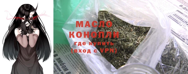 мдпв Бородино