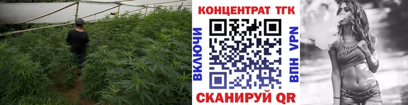Дистиллят ТГК вейп с тгк магазин наркотиков mega ссылки Минеральные Воды