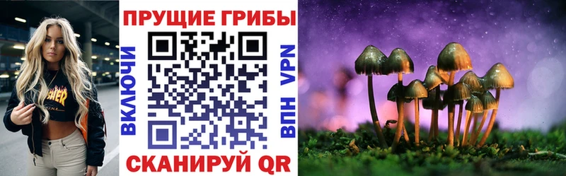 Галлюциногенные грибы мицелий  купить закладку  Минеральные Воды 